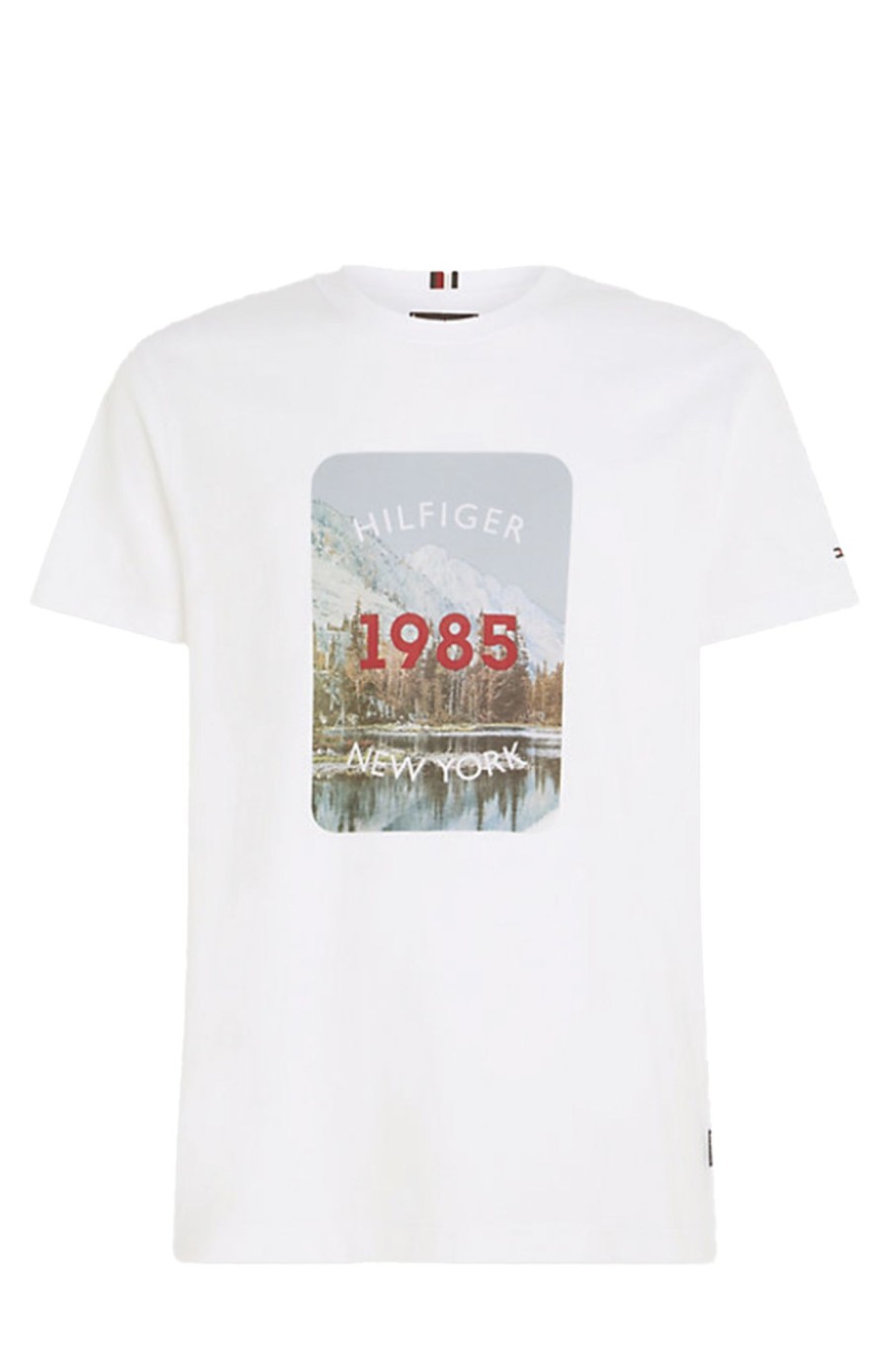 Herren Tommy Hilfiger | Landscape Graphic Tee