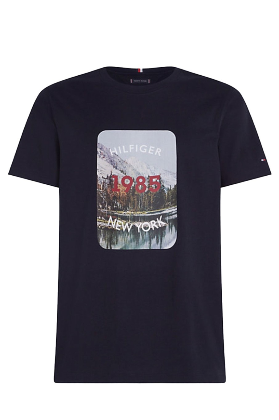 Herren Tommy Hilfiger | Landscape Graphic Tee