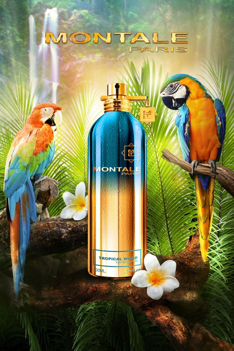 Parfumerie Montale | Parfumerie Dames Geuren Tropical Wood