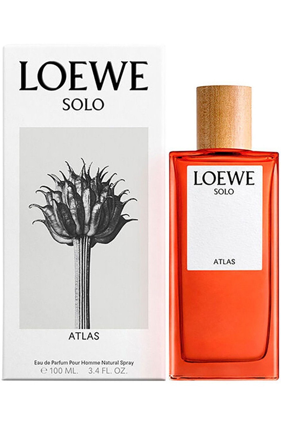 Parfumerie Loewe | Solo Atlas Edp