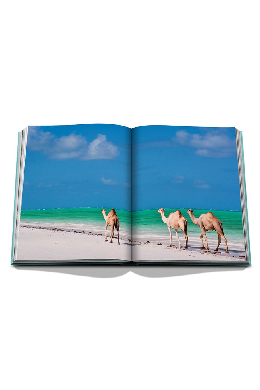 Lifestyle Assouline | Saudi Arabia: Red Sea