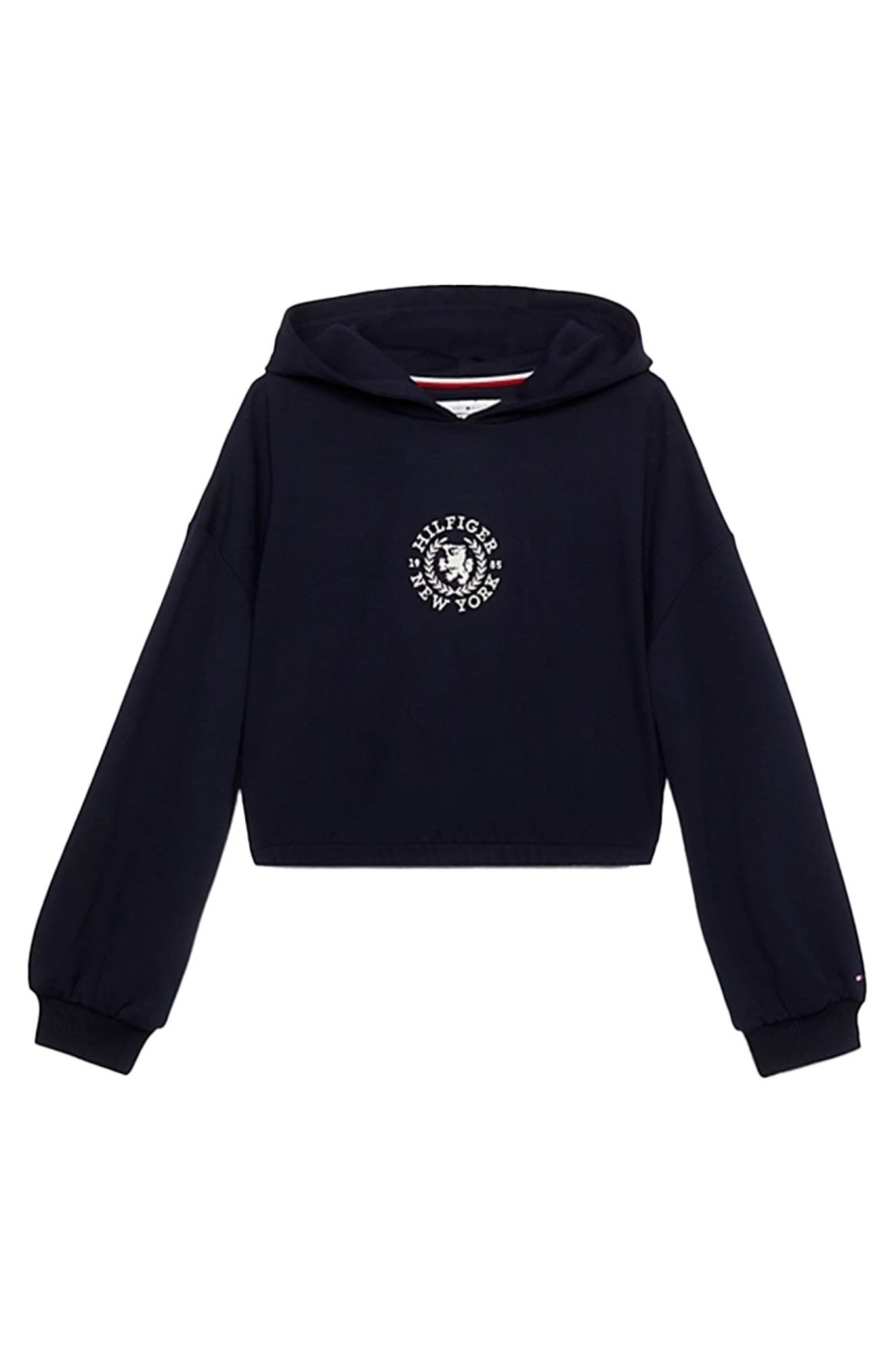 Kids Tommy Hilfiger | Crest Logo Hoodie