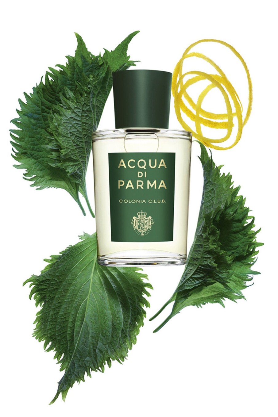 Parfumerie Acqua di Parma | Colonia C.L.U.B. Edc